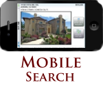 Mobile Search